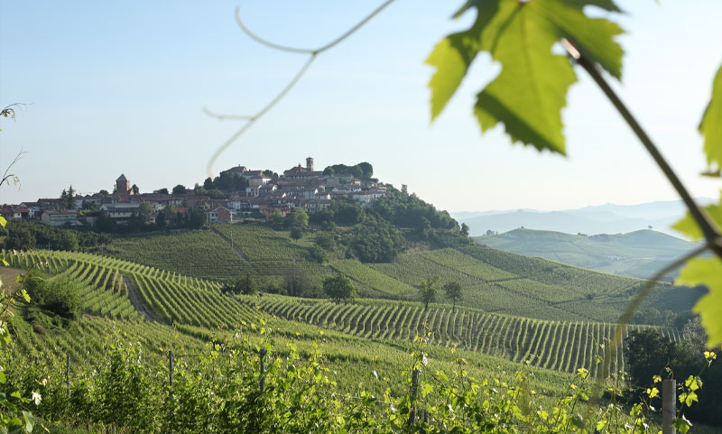 locanda-orso-bevitore-b&b-langhe